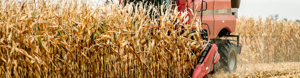 Najlepsze okazje sezonu!