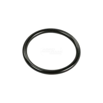 O-ring