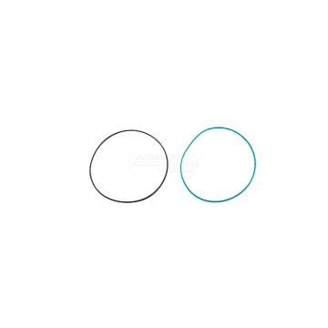 O-ring CNH 5172235, ## Case IH