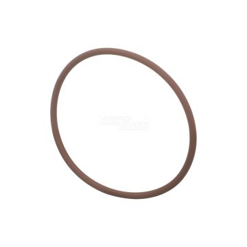 O-ring