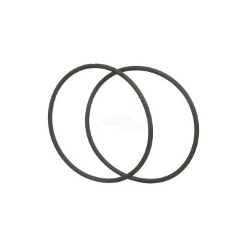 O-ring
