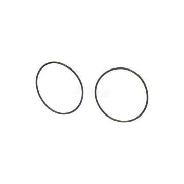 O-ring