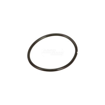 O-ring CNH