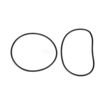 O-ring