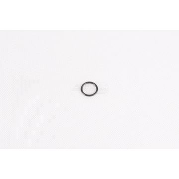 O-ring CNH
