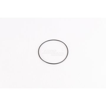 O-ring