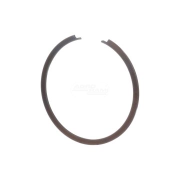 Pierścień Sprężysty