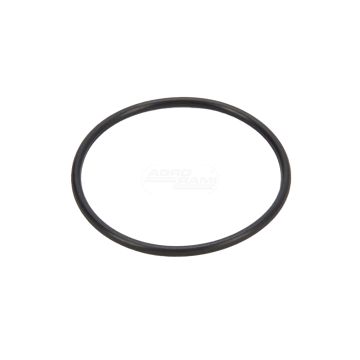 O-ring CNH