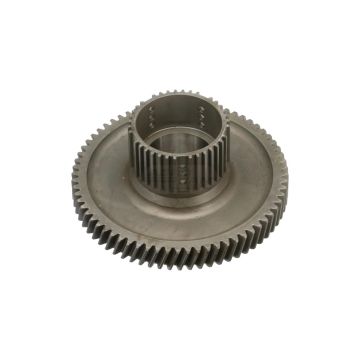 Zespół koła zębatego