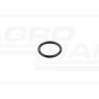 O-ring*
