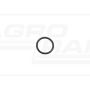 O-ring*