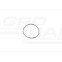O-ring 76049175 Case IH