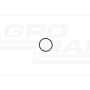 O-ring 17282581, ##, 84167616, 153625304 Case IH
