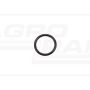 O-ring CNH