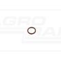 O-ring CNH
