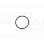 O-ring CNH 