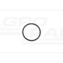 O-ring CNH 