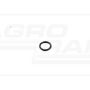 O-ring CNH 