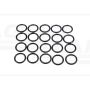O-ring CNH 