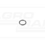 O-ring CNH 