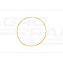 Pierścień uszczelniający CNH 
