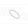 O-ring