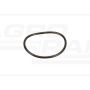 O-ring CNH