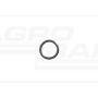 O-ring CNH