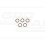 O-ring CNH