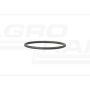 O-ring