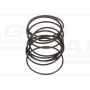 O-ring