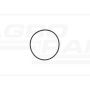 O-ring