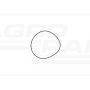 O-ring