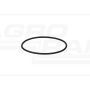 O-ring CNH