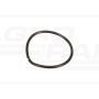 O-ring CNH