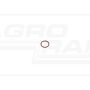 O-ring CNH