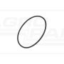 O-ring CNH
