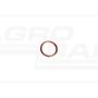 O-ring CNH 